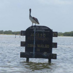 IMG 3560