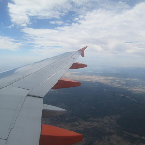IMG 4454