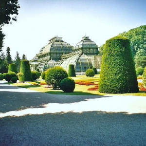 Viena   Schonbrunn (estufas)