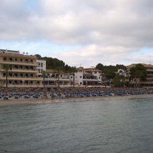 HPIM7101