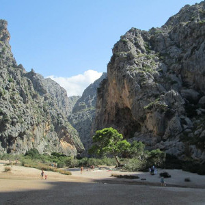 IMG 0369