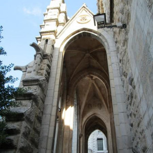 IMG 0415