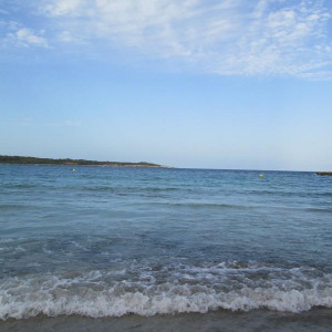 IMG 0449
