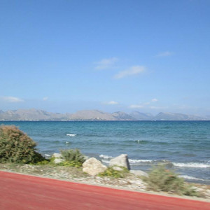 IMG 0519