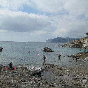 IMG_0782.JPG