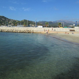 IMG_0799.JPG