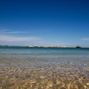 IMG 9498 (Copy)