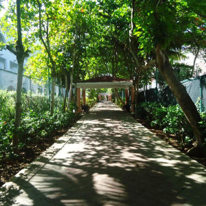 Caminho Praia - Riu Tequila