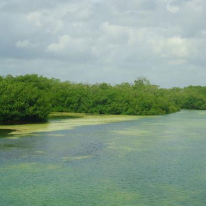 Sian Ka´an