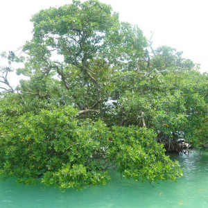 Sian Ka´an