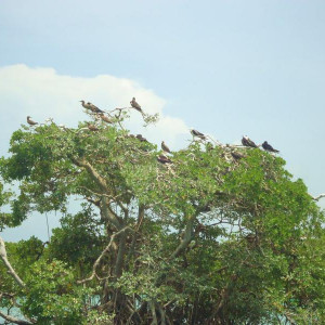 Sian Ka´an
