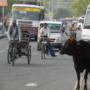 Jaipur