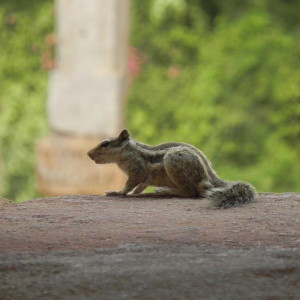 Qutab Minar