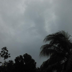 DSCF3309