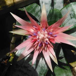 DSCF3668.JPG