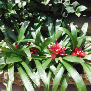 DSCF3670.JPG