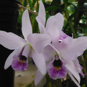 DSCF3673.JPG