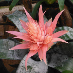 DSCF3682.JPG