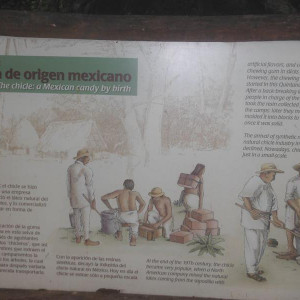 DSCF3716.JPG