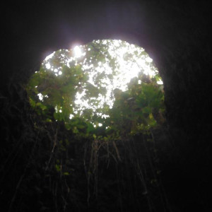 DSCF3747.JPG