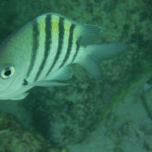 DSCF3761.JPG