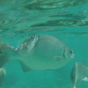 DSCF3764.JPG