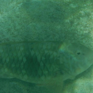 DSCF3766.JPG