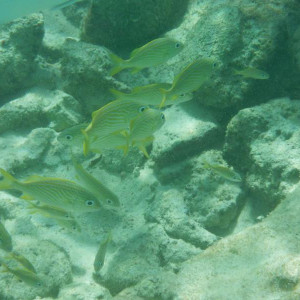 DSCF3773.JPG