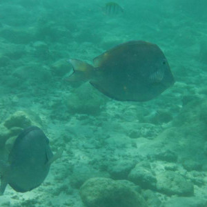 DSCF3774.JPG