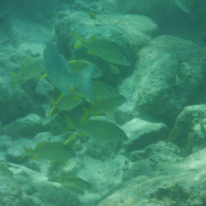 DSCF3775.JPG