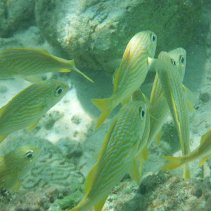 DSCF3778.JPG