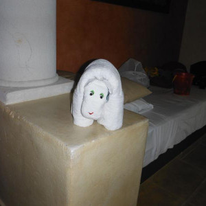 DSCF3809.JPG