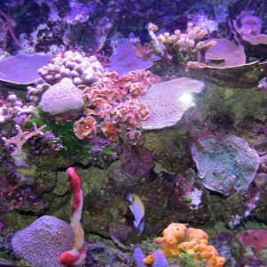IMG_1138.JPG