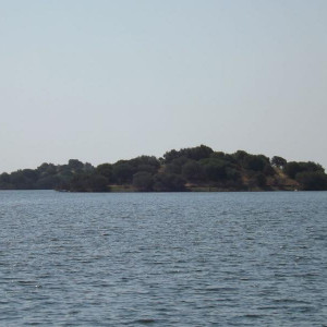 DSCF1053