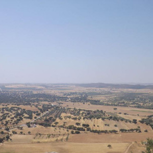 DSCF1169