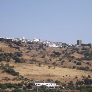 DSCF1245