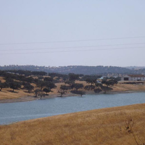 DSCF1377