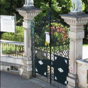 Cães de guarda