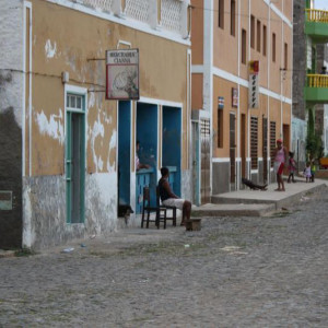 IMG 0598