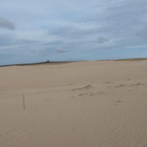 DSC06337