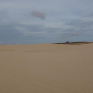 DSC06340
