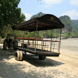 IMG 0571