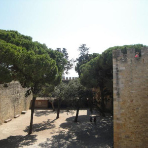 DSC04708
