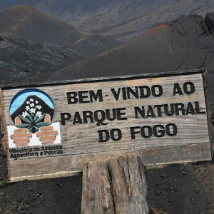 Subindo ao vulcão até Chã das Caldeiras