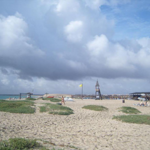 S1036967