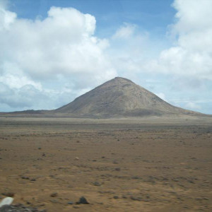 S1037161