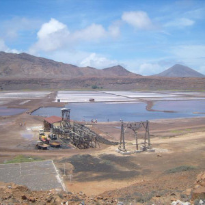 S1037231