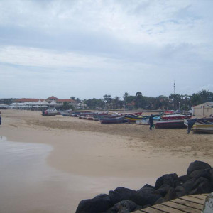 S1037281