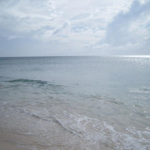 S1036974