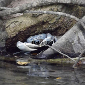DSCF1958.JPG